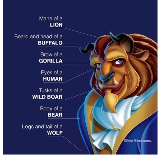 A Disney animator made best out of many differ animals