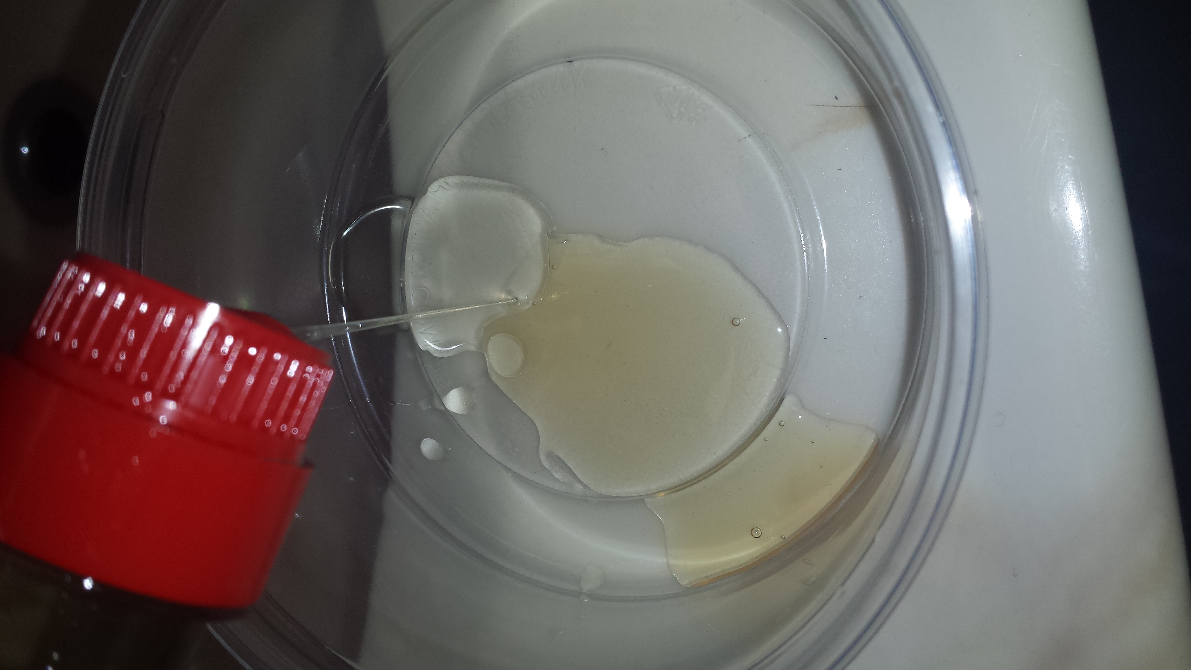 Second add your dish soap and your cooking oil into a bowl(plastic bowl etc.) p.s do not add more oil than soap 