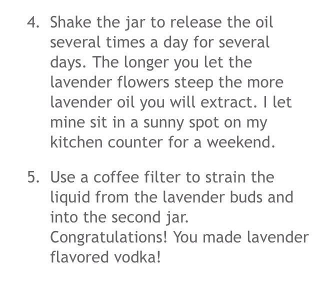 🌿How To Make Lavender Essential Oil!🌿