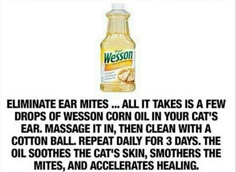 Safe Remidies for Everything for Humans to Pets!! 