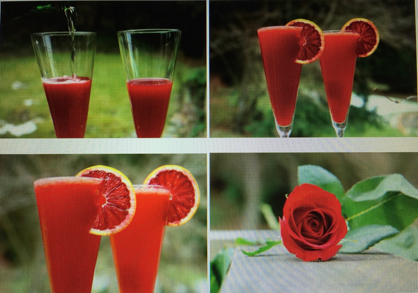 πΉπΉ Bubbly Blood Orange Campari Cocktail ππΈπΉ