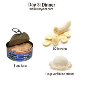 Dinner
1 cup of tuna
1/2 banana
1 cup of vanilla ice cream