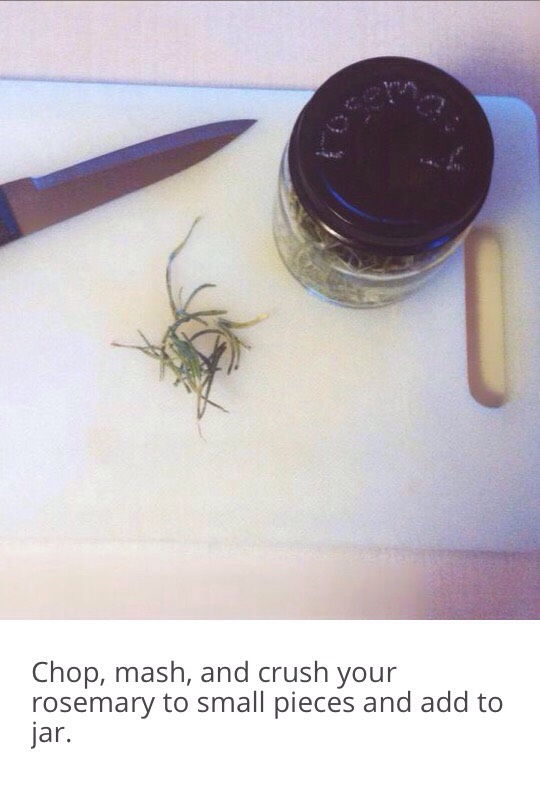 How To Make All Natural Rosemary Peppermint Lip Scrub