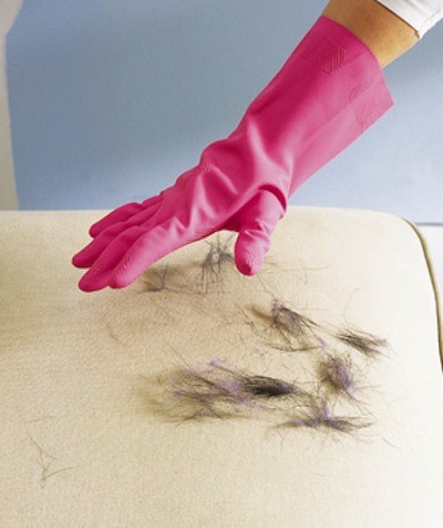 10. Rubber gloves remove pet hair

If you dampen a rubber glove you will easily be able to wipe pet hair off of furniture