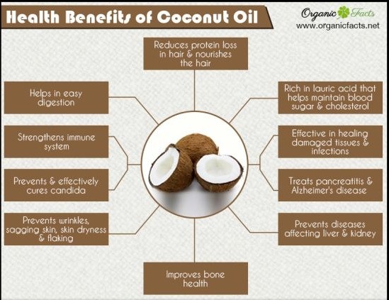 Coconut Oil Benefits In More Details 