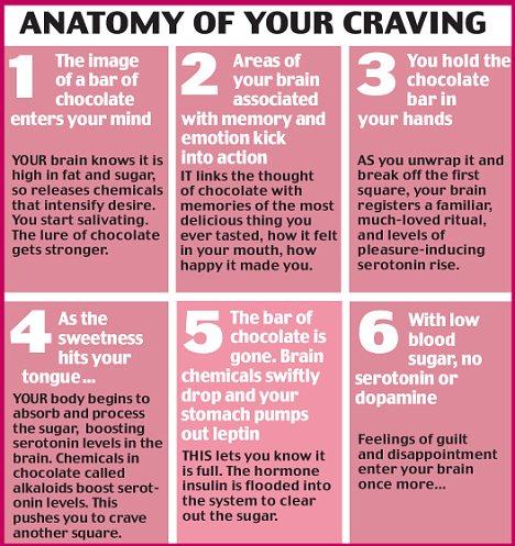 Anatomy Of Your Cravings! How To Stop!