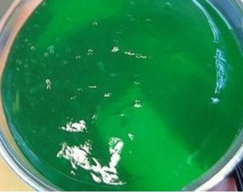 GOOOOOOOOOOOOOOOOOOOOO!!!!!!💚
http://chemistry.about.com/od/chemistryhowtoguide/ht/makegoo.htm