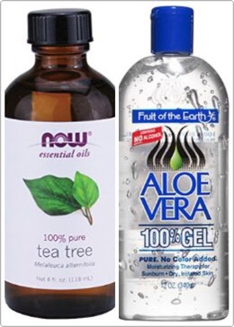 Using aloe Vera gel and drops of tea tree oil. Mixing it together, use a Qtip and with the mixture on the Qtip. Put the mixture on a certain spot of acne you want to get rid of and your done. When it's dry wash it off and moisturize your face bc tea tree oil can make your skin dry.