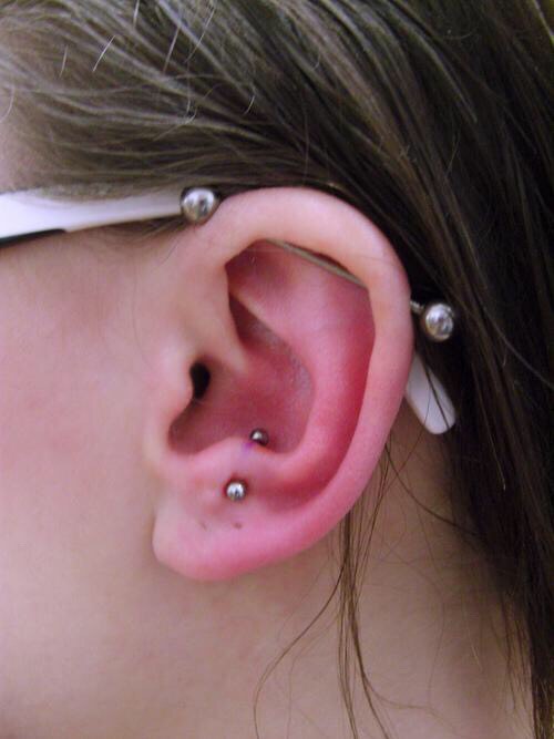 Anti tragus & scaffolding. 