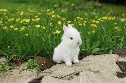 Beautiful Photography