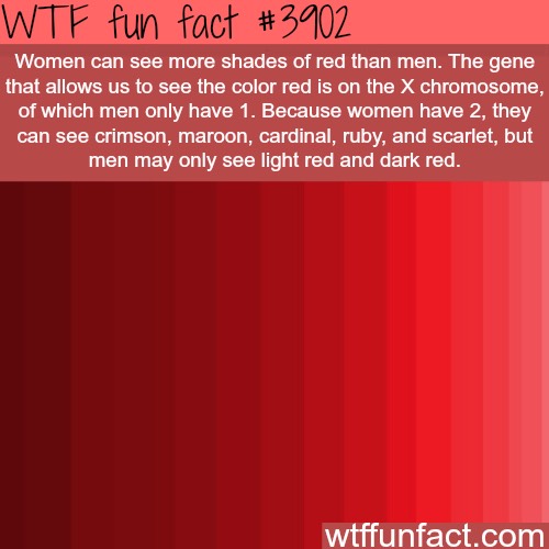 Fun Fact About Women 😱👍💯