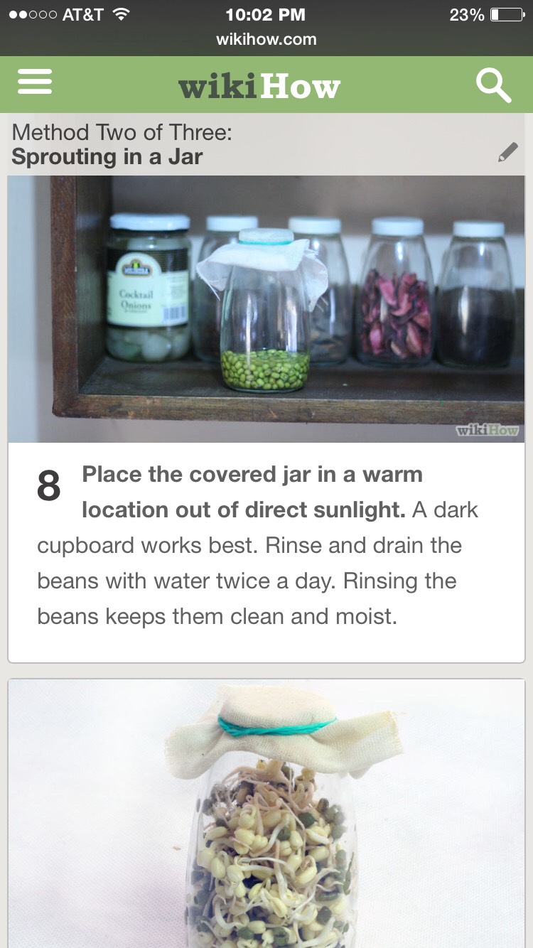 Grow Your Own Mung Sprouts- Super Easy, Super Fast, And Super Healthy! 