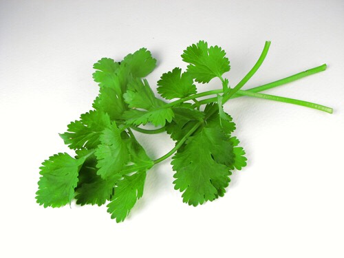 7. Cilantro
• start garnishing your food with cilantro! Cilantro is great for relaxing digestive muscles and has been proven to help those who suffer from IBS
