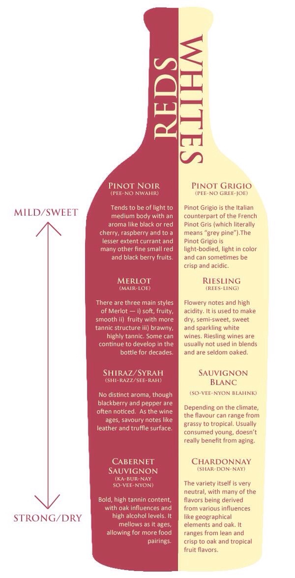 Wine Guide For Beginners!! 🍷🍷🍷