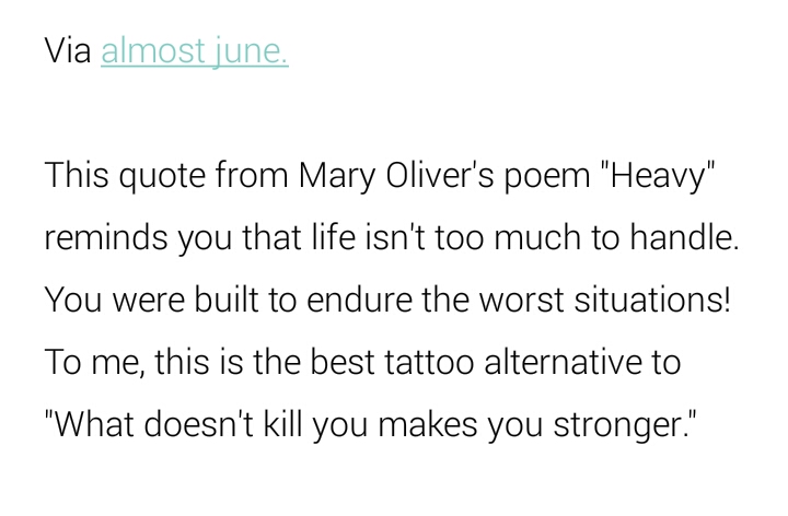 15 Tattoo Quotes From Classic Literature For Your First Tattoo!