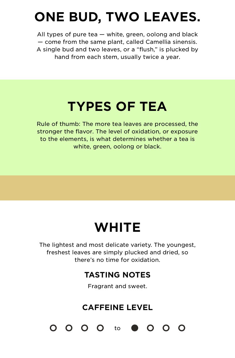 ✨Tea 101✨