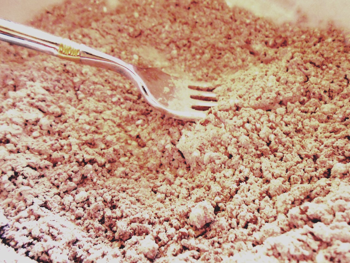 Then take 2 tablespoons of your cocoa powder (or 1 depending on how much biscuits you used) and add to the crushed biscuits, mixing in until the crumbs are covered in the cocoa powder like this!