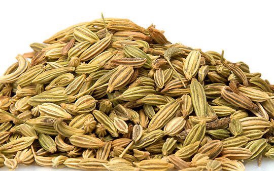 39. Fennel seeds
• these are a digestive tract savior! They relax your system, allowing for more gas to pass through and avoid the bloat. Use fennel in breads, meats, tea or chew on them directly