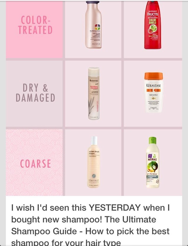 Shampoo Guide 