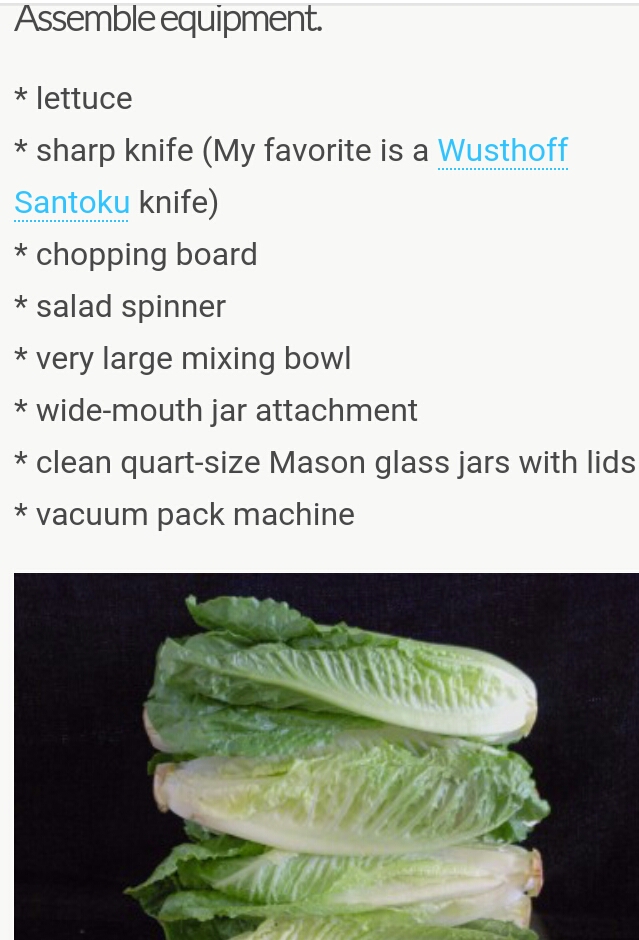 NO HASSELL 2GET FRESH LETTUCE 4 SALAD SAV AT HOME 4MANY DAYS (worth a try)
