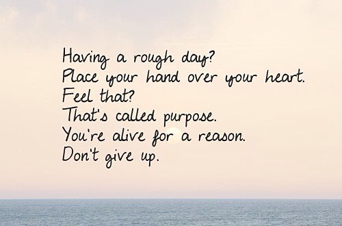 Don't Give Up Quotes😌💓