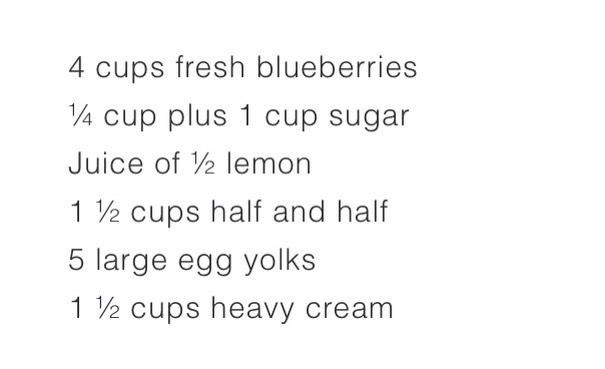 Creamy Blueberry Ice Cream 