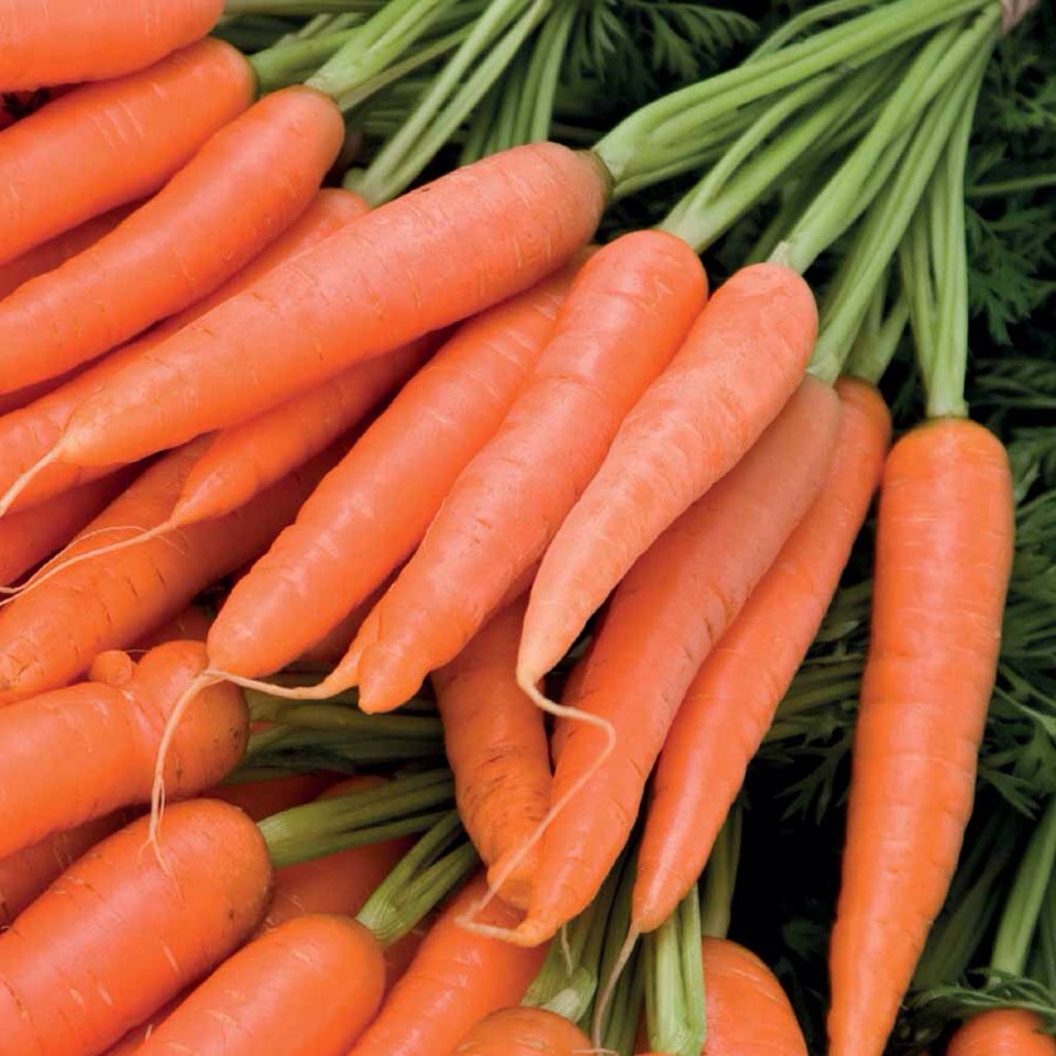 Carrots: great for eyes and breakouts. They help prevent over production of cells in the outer layer of skin which causes acne. The vitamin A in it fight cancer cells to!