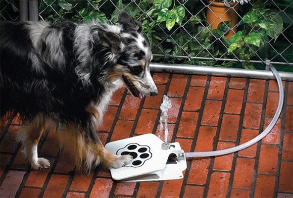 28. API Doggie Fountain F-1
Provide a continuous flow of drinking water to your dog even when you are busy with the help of the API Doggie Fountain F-1.
$69.99