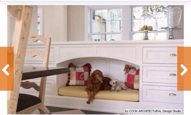 🌟 Creative Dog Bed Ideas You And Furry Friend Wld Love! 🌟