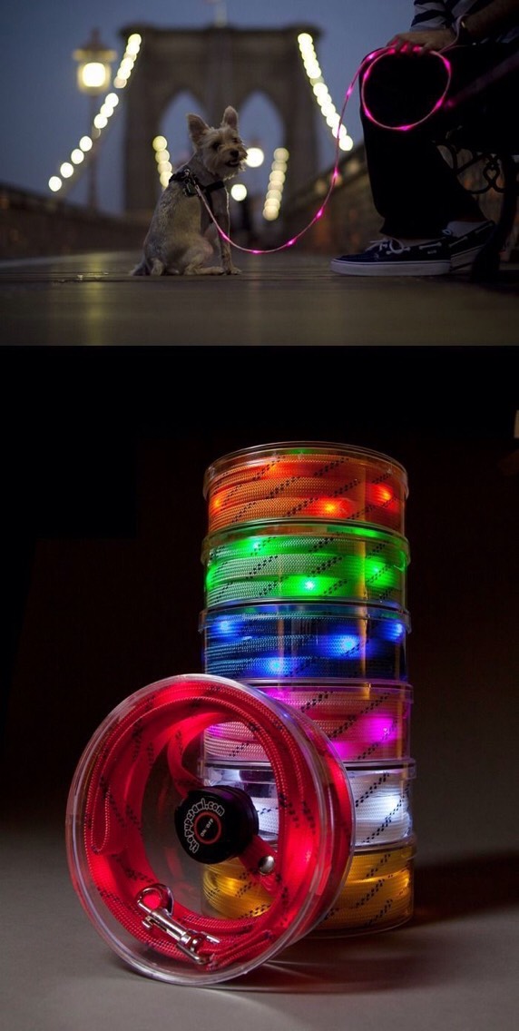 37. The PupCrawl LED Leash
This cool leash  can make sure your dog stays visible to cars and bikers on the road. The LED lights can be seen from both sides and it’s made from reinforced nylon (appropriate for dogs up to 60 lbs.).
$25.00