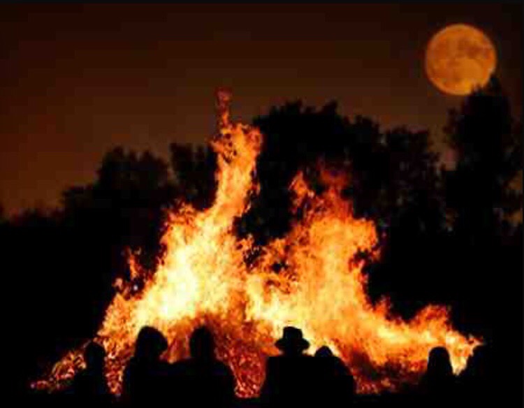 Have a bonfire: (make sure there is parent supervision) In your back yard get a area set up with rocks and throw some wood in and light it up. (make sure it's okay according to city rules) 