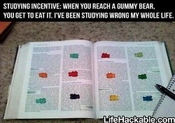 School Life Hacks