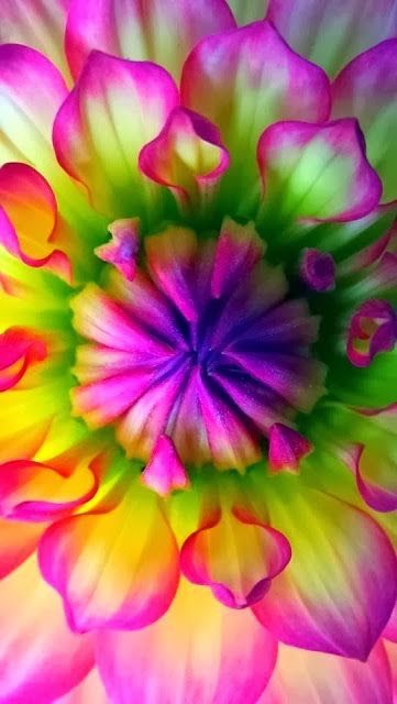 🌺Hope you enjoyed🌺