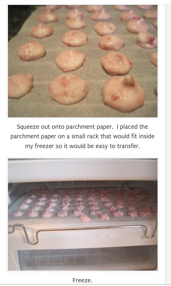 Strawberry Yogurt Bites--Great Healthy Snack!