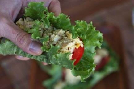 Tuna Salad Lettuce Wraps

For a healthy snack full of omega 3's, grab this healthy and satisfying wrap!