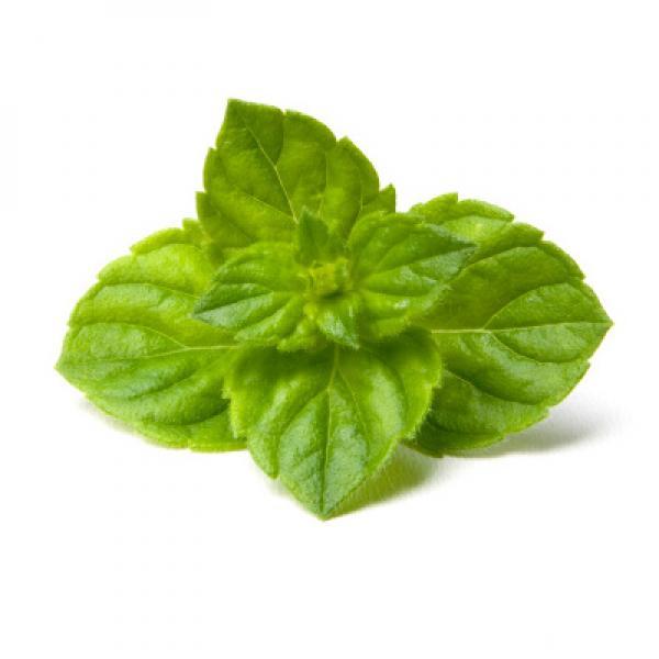 Mint