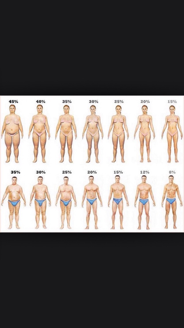 What body percent do you fit in?