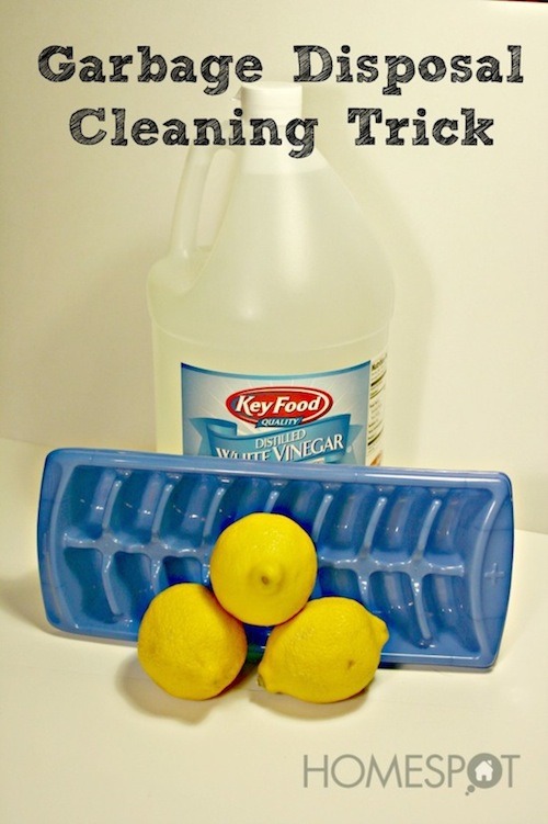 13. Garbage disposal cleaning

Get an ice tray and fill most of the holes with water but leave a little room. In the rest of the room you're gonna put vinegar. Then, you'll take a little piece of the lemon rind in each one. Freeze & then put down your garbage disposal to keep it clean and fresh.