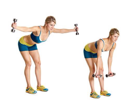 6. Rear Lateral Raise (4 sets, 20 reps) 