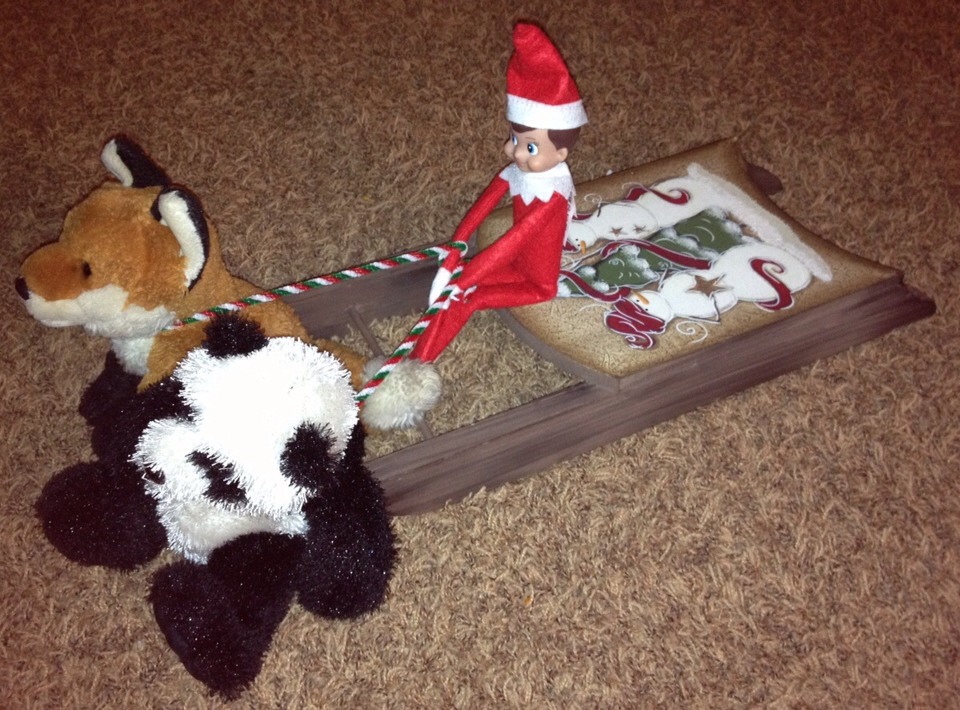 Going for a sleigh ride 