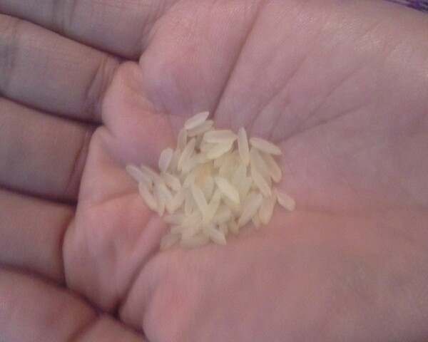 6. Put some rice in.