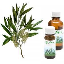 Aloe Vera and Tea Tree:
Both extracts are also known to get rid of dandruff.
You can add your choice of essential oil so your hair smells exotic.