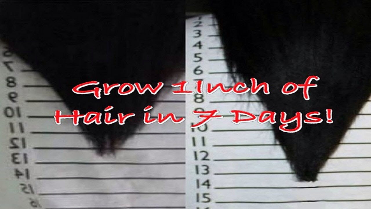 The inversion method is a way to grow your hair about one inch a week. Take about one tablespoon of coconut oil and heat it until melted, not boiling. Then massage it into your scalp until roots are well coated. Flip your head over and continue to massage for about 5 minutes.