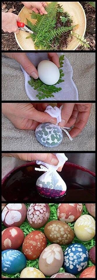 Fun Cool Ideas You Can Do Step By Step!!!!
