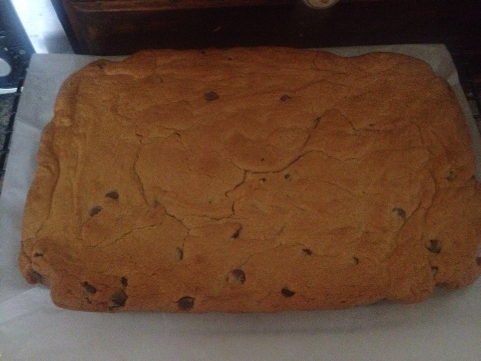 Peanut Butter Chocolate Chip Cake Bars 
