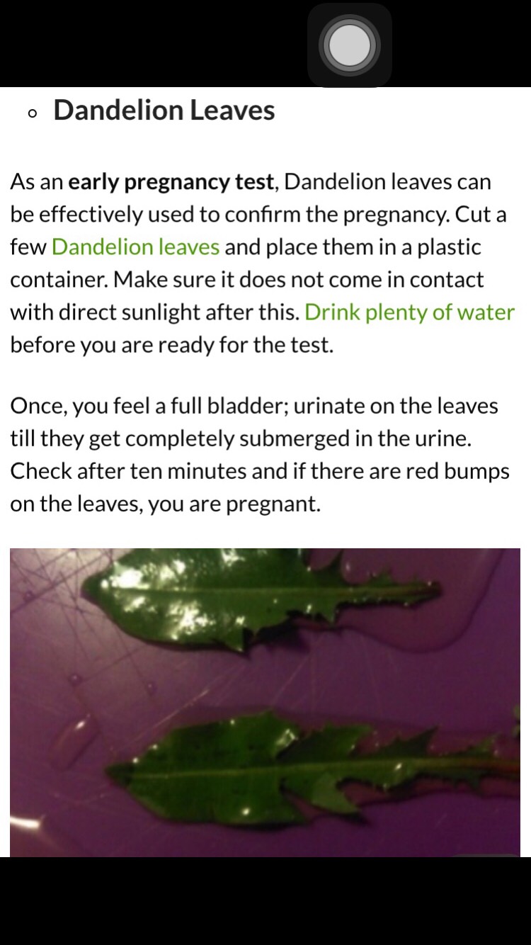 10 Homemade Pregnancy Tests (Accurate Results)