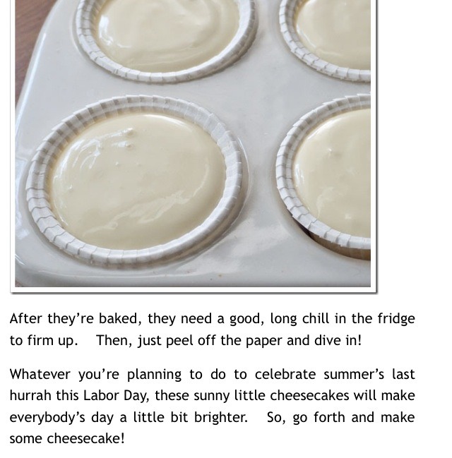 Keylime Cheesecake Minis With Macadamia Graham Cracker Crusts๐๐๐๐๐๐
