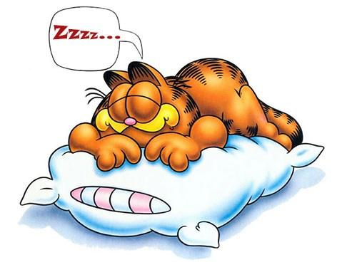 Goodnight!