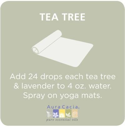 Tea Tree Oil Uses And Tips