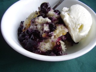 Blueberry Cobbler  

http://www.food.com/recipe/fresh-blueberry-cobbler-71109
